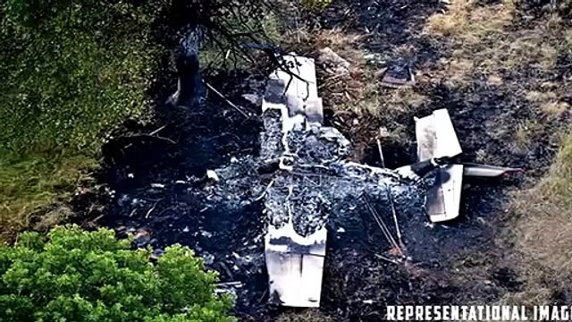 Plane crashes at Austrian airshow, pilot killed