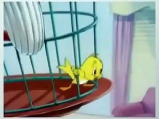 Tom and Jerry | Tom and Jerry New Episodes | Tom and Jerry Cartoon