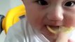 A cute baby's expressions when he eat Lemon - very funny Must Wath | hahahaha