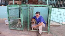 طبيب بيطري انقذ حيوانات طرابلس الاليفة في خضم الثورة الليبية