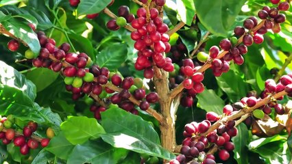 En İlginç Bilgiler