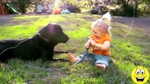 Funny Videos Compilation - Babies Laughing Hysterically at Dogs