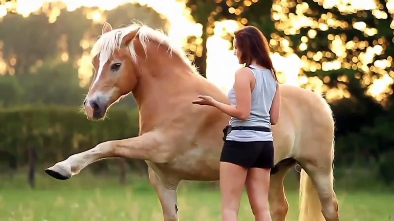 Very Funny Videos 2015 | Funny pranks | Funny Girls | Try Not To Laugh | Best Fails Compil