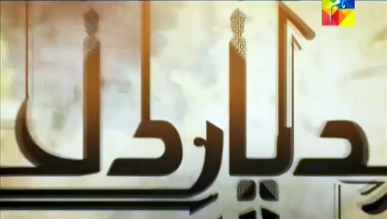 Dayar e Dil Episode 33 Promo on Hum Tv Drama