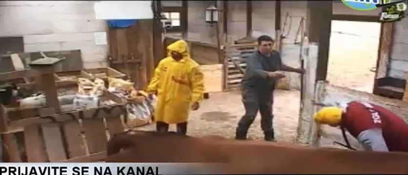 Stanija i Aca-Ne napadajte Staniju pada vam cena napolju-by Kristijan