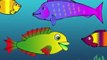 Meet Ploop The Baby Fish! Educational Cartoons for Kids & Children /childrens phim hoạt hì