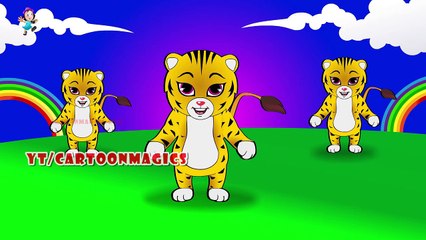 Twinkle Twinkle Little Star - Tiger Cartoon animal - Funny Rhymes