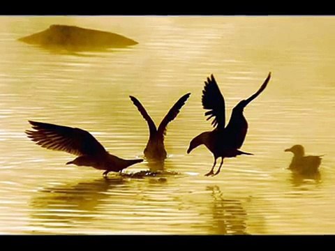 Lucio Battisti il vento