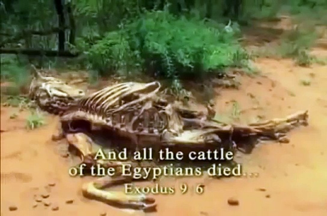 Israel In Ancient Egypt Docmuentary Online