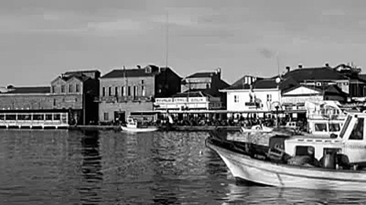 Sezai Karakoç - Rüzgâr - Sesli Şiir