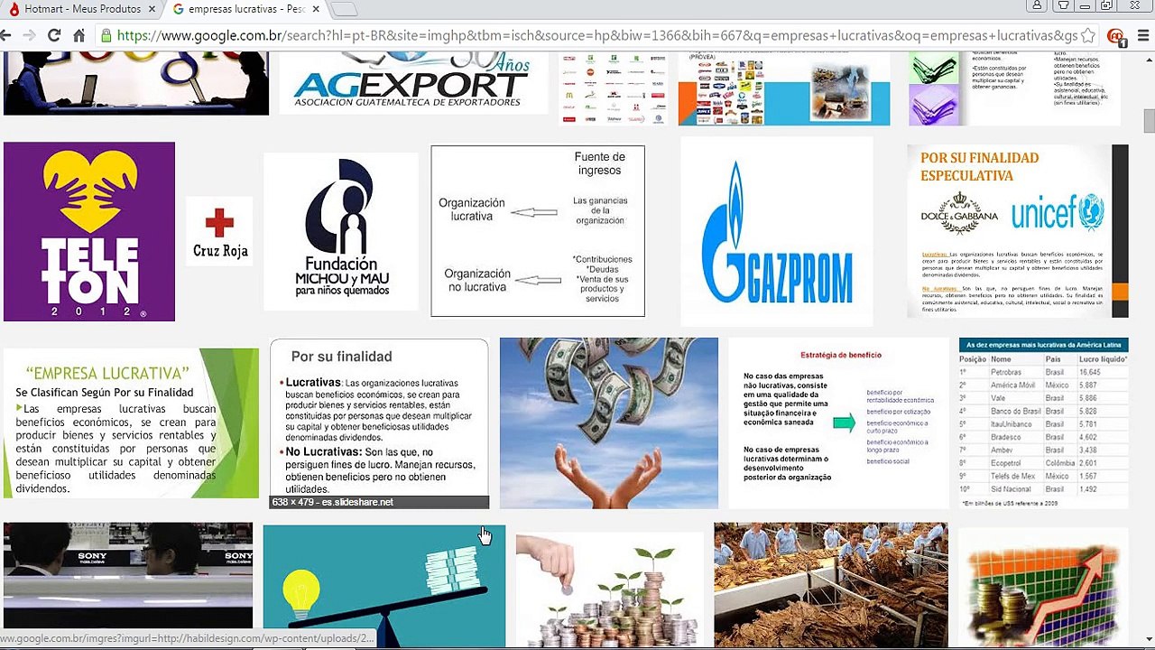 EMPRESAS LUCRATIVAS