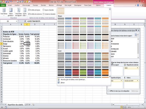 Excel - Les Tableaux Croisés Dynamiques (Module 2)