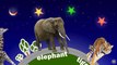learn wild animals with names Full animated cartoon english 2015