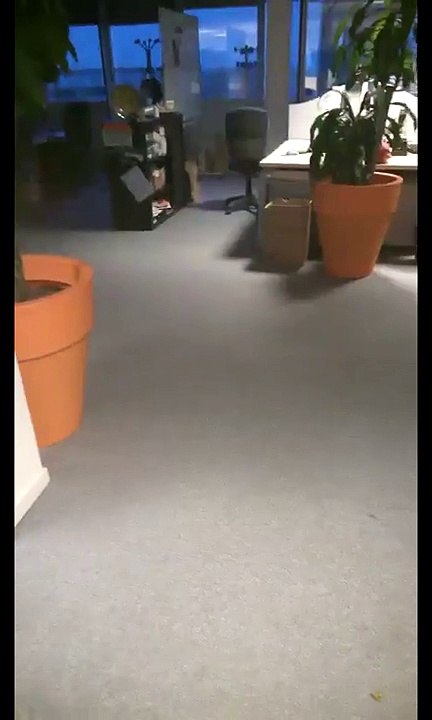 Les Déjantés de l'Anim Co' - K