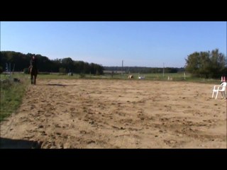 Volt oct 2015 reculer-galop-ruade