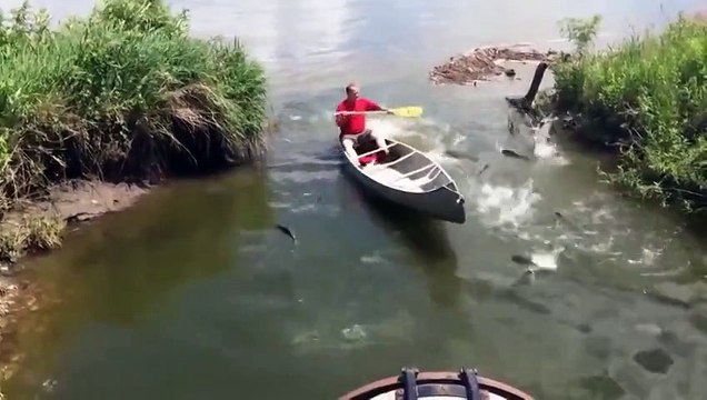 Он просто плыл на лодке. Я не поверила своим глазам, когда увидела, что произошл