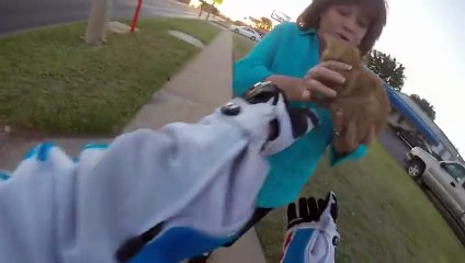 La motocycliste sauve un minuscule chaton bloqué sur une route très dense. Regardez !
