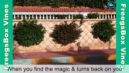 Best Vines Compilation October 2015 - FreegsBox Vines