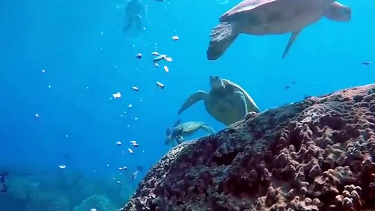 Sony Xperia Z4 Underwater Slow Motion