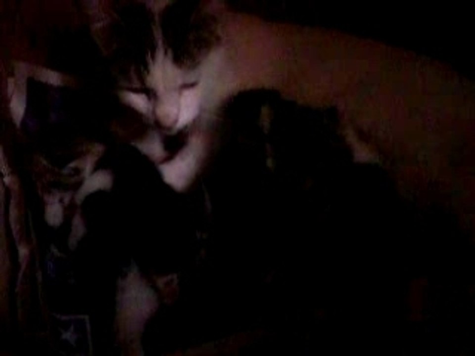 Crevette et ses bébés