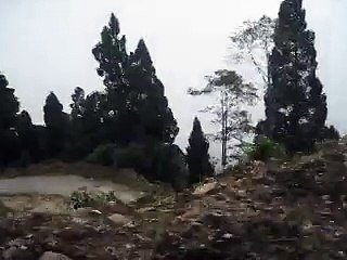 Travelling in the Woods