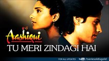 Tu Meri Zindagi Hai Full Song (Audio) _ Aashiqui _ Rahul Roy, Anu Agarwal
