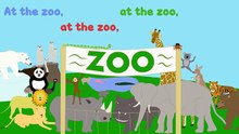 At the Zoo