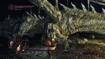 Sinh, the Slumbering Dragon Fight