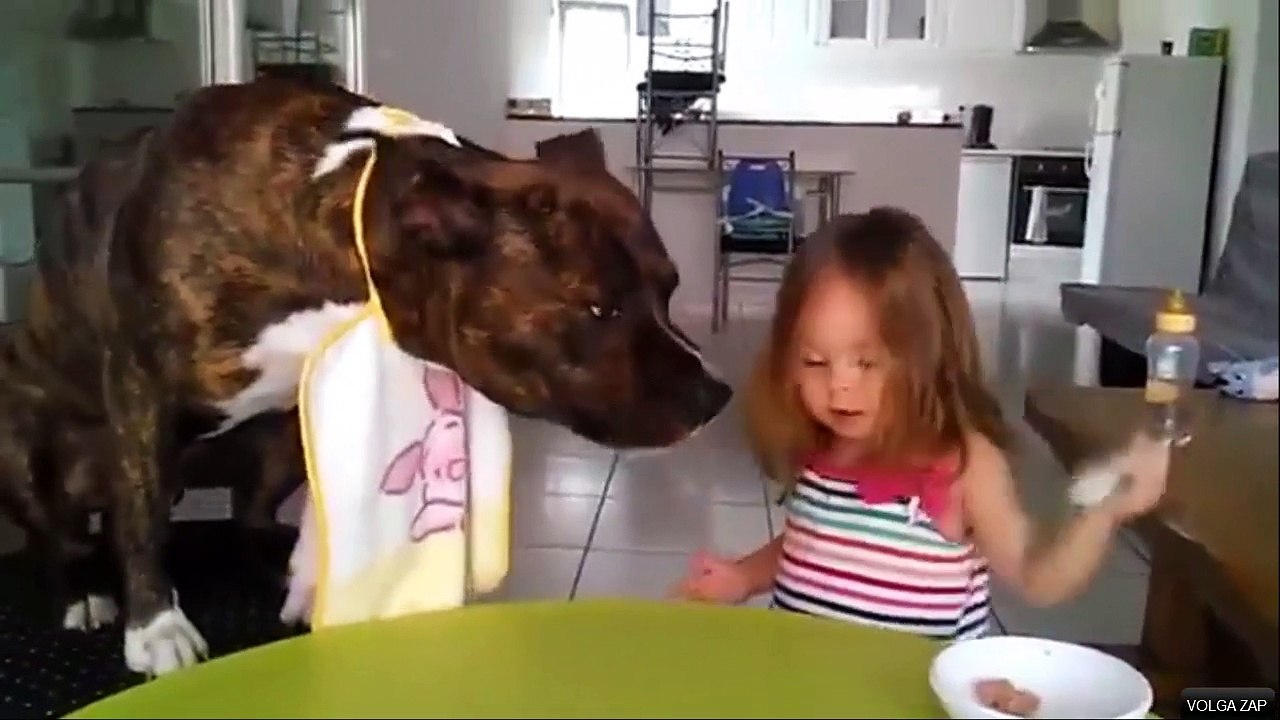 cute compilation aout 2015