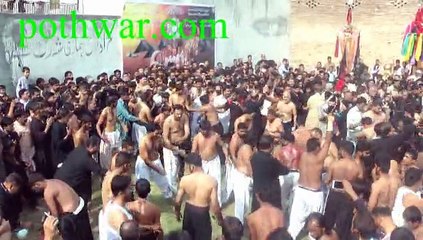 jaloos 10 muharram 2015 zanjeer zani choha khalsa