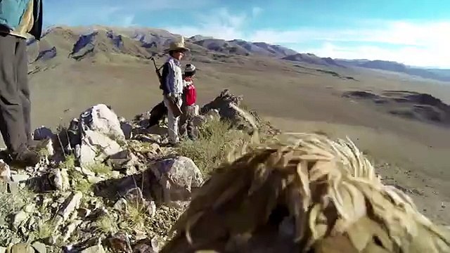 Золотой Орел Удивительный мир GoPro_ Golden Eagle POV Flight