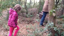 Initiation à la cueillette des champignons