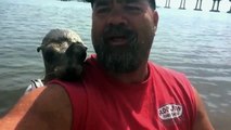 Seal Jumps On Guy's Boat And Makes A Friend