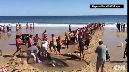 En Komik Videolar Serisi - Funny Videos - Laugh (168)