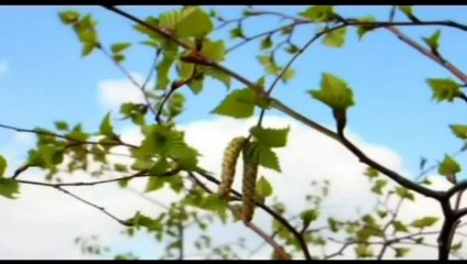 قرآة القرآن بدون حجاب - ومضطجعا