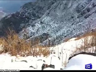 Weather becomes cool after rain, snow fall in Shangla hills.