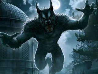 David Alpha Wolfman Paris