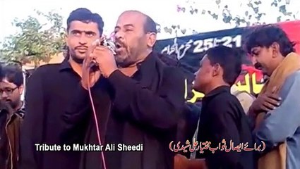 Chum Babay Da Seena  Noha By Farhan Ali Waris 2016