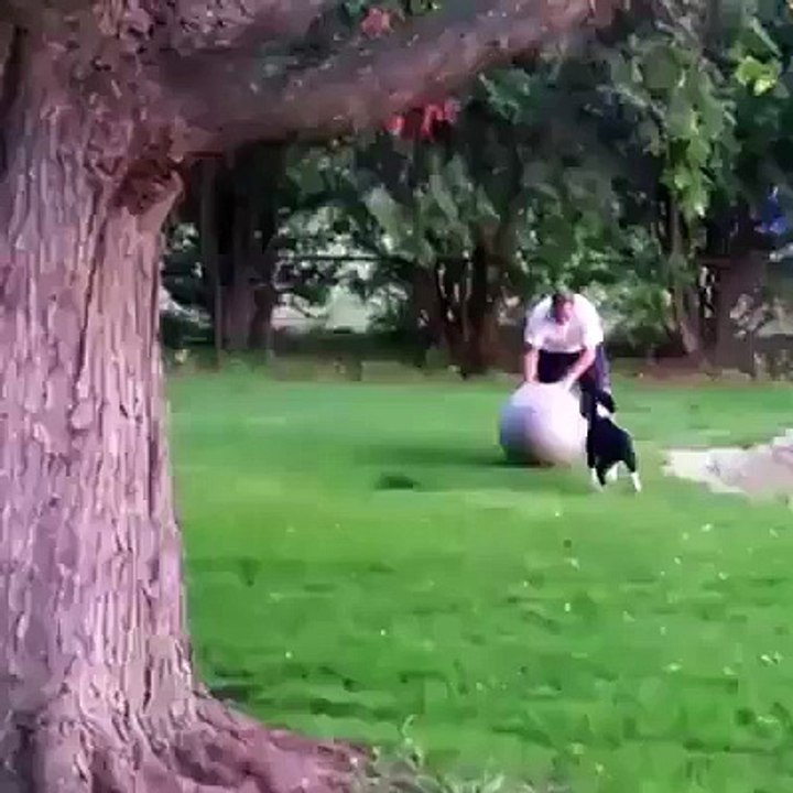 OMG