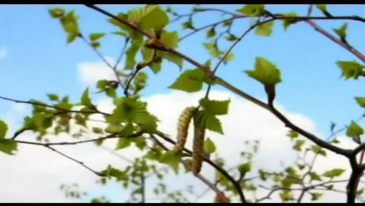 وفاة النوم- مفارقة الروح للجسد.~ الشيخ صالح المنجد.