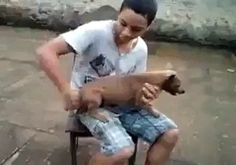 Garip fast food anlayışı - Funny videos - Komik videolar
