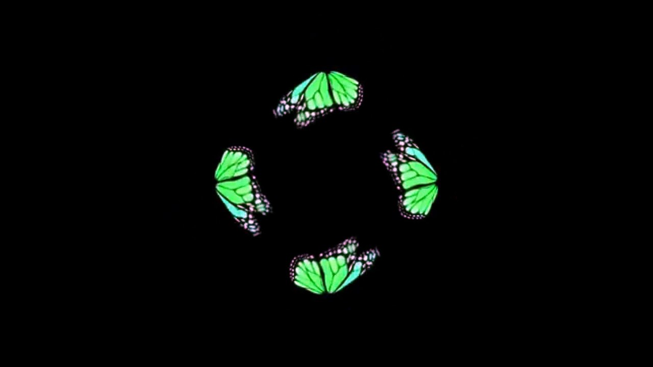 [ Hologram ] Dancing
