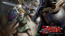 More Zelda Twilight Princess HD Evidence & Upcoming Wii Games on Wii U eShop?