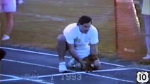 Race with obstacles, alive. Funny dachshund eliminates an opponent