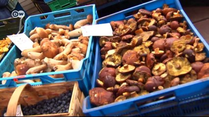 Carne de jabalí con hongos y risotto de cebada | Euromaxx