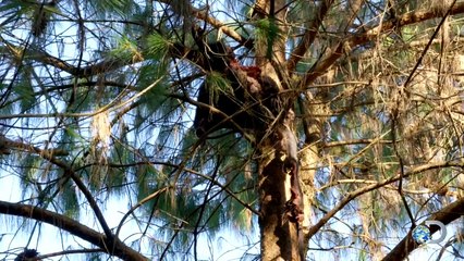 Takeaways: Surviving the Himalayas | Dual Survival