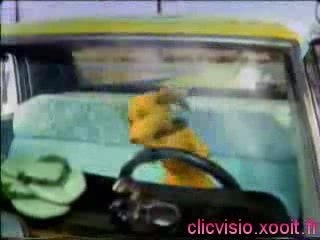 Lipton pub version longue