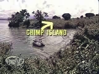 when chimps attack-Y5vE3VQdLa4