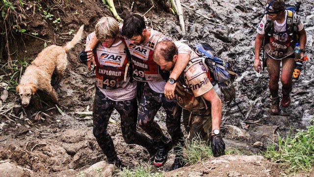Arthur, The Stray Dog who joined a Swedish race team and refused to be left behind