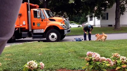 My dog loves the garbage man.